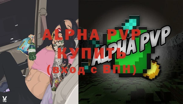 индика Володарск