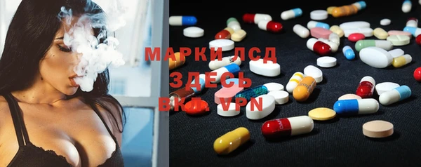 индика Володарск