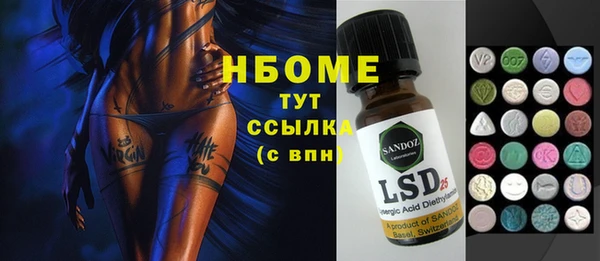 индика Володарск