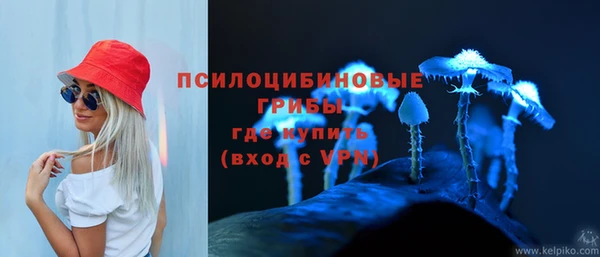 индика Володарск
