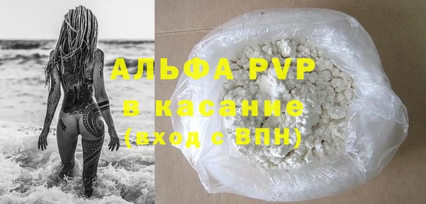 индика Володарск