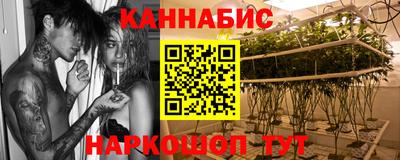 гашик Волжский