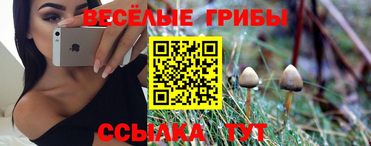 наркошоп  Галлюциногенные грибы Cubensis  Вход с VPN  Зерноград 
